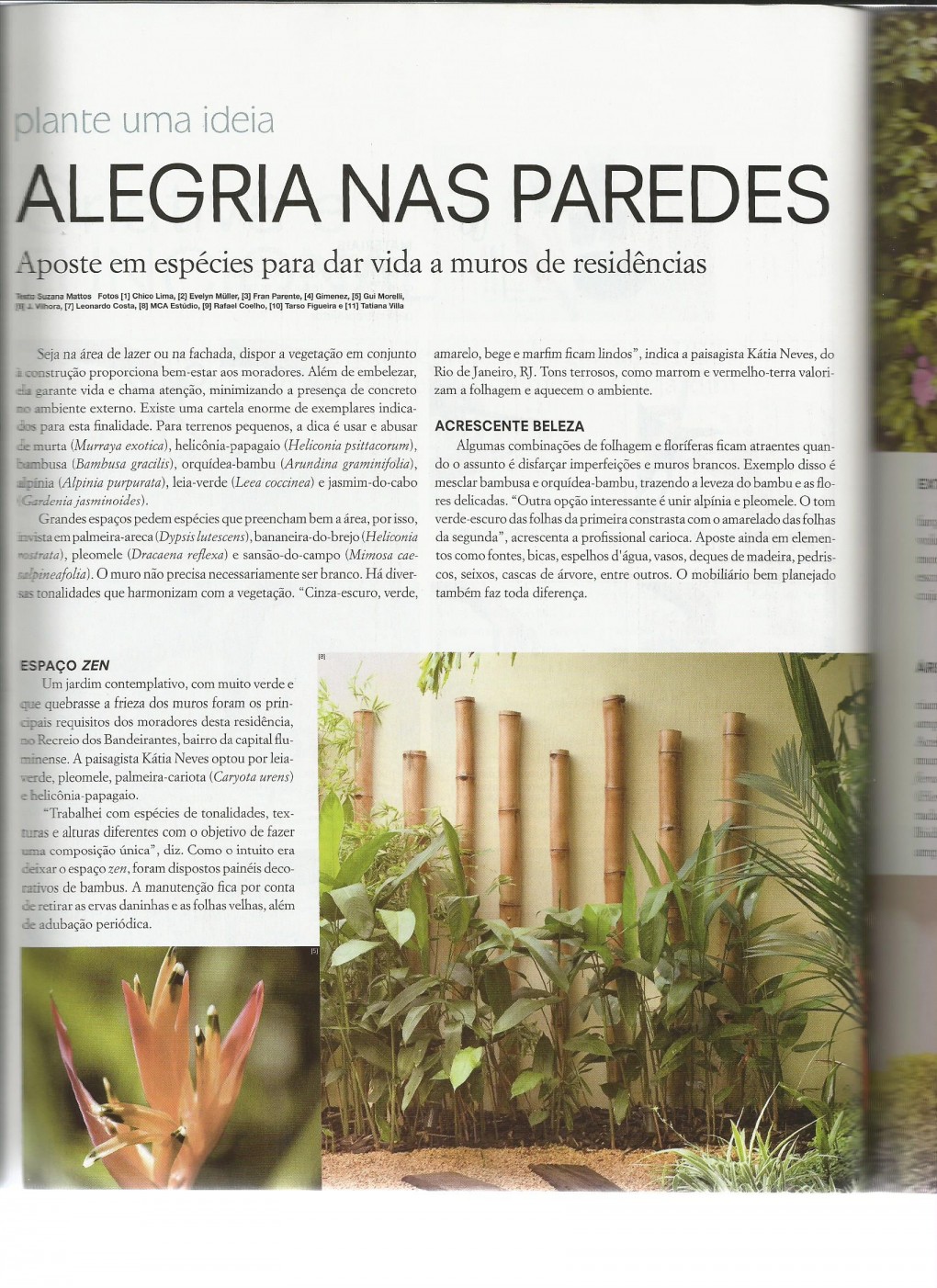 Reportagem publicada na Paisagismo e Jardinagem 119
