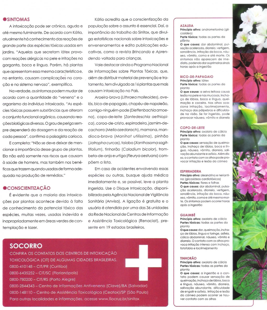 Reportagem na Guia de Jardinagem 2012
